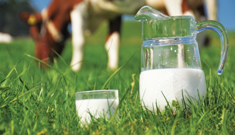 Καρκίνος Μαστού: Το γάλα αυξάνει κατά 80% τον κίνδυνο, λέει νέα έρευνα  - Media