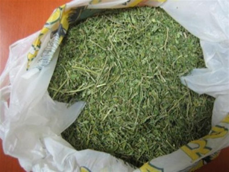 Συνελήφθη ανήλικος με 10 κιλά ακατέργαστης κάνναβης! - Media