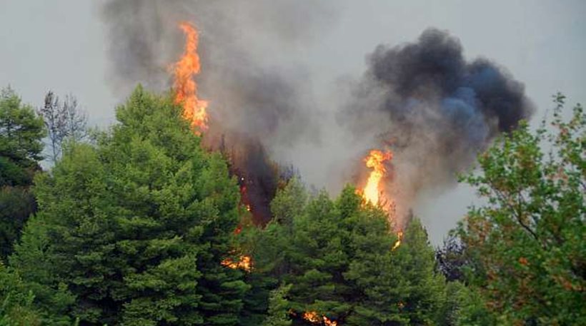 Κέρκυρα: Πυρκαγιά ξέσπασε σε δασική έκταση στη Μυρτιώτισσα - Media