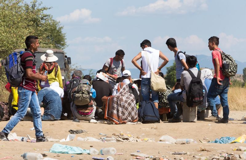 Η αναμπουμπούλα και ο λύκος - Media