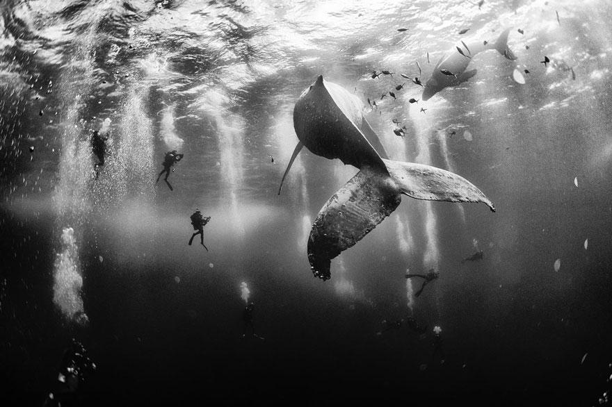 National Geographic: Μαγευτικές εικόνες στον Διαγωνισμό Ταξιδιωτικής Φωτογραφίας 2015 (Photos) - Media