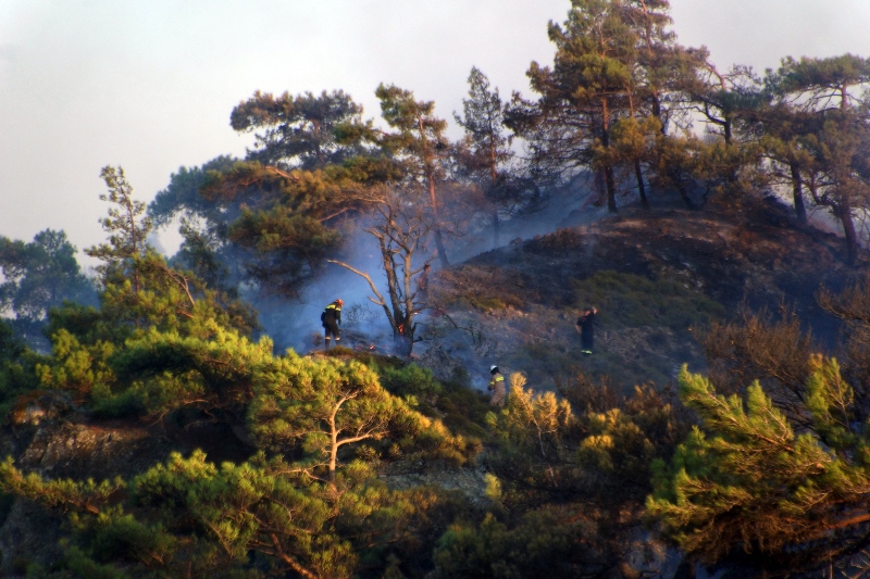 Πολύ υψηλός ο κίνδυνος πυρκαγιάς σήμερα - Media