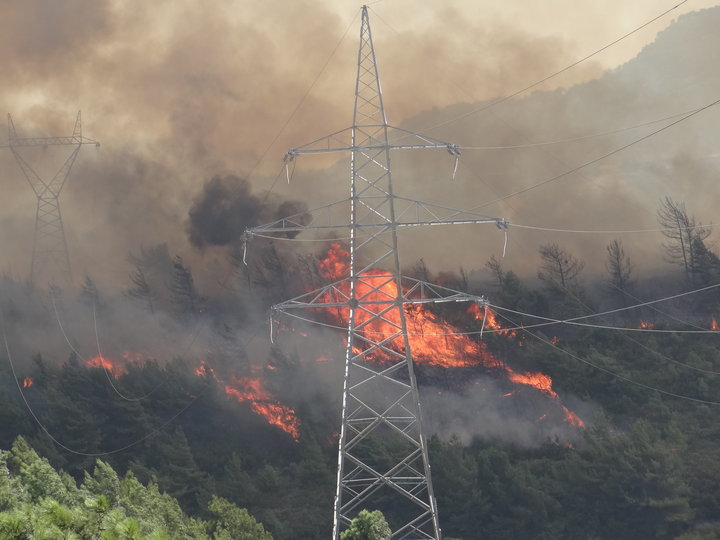 Μάχη με τις φλόγες και το δυνατό άνεμο δίνουν οι πυροσβέστες στη Ρόδο (Photos + Video) - Media