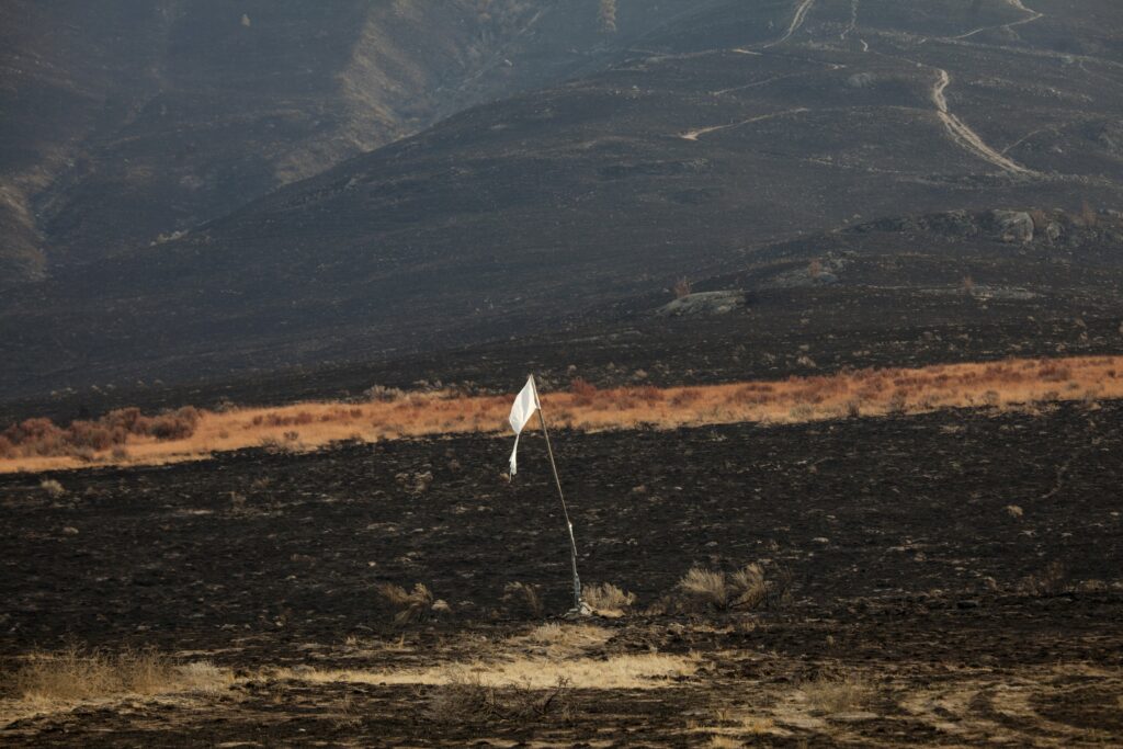 Κάθε χρόνο κόβονται ή καίγονται 15 δισ. δέντρα - Media