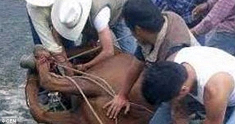 Τον δάγκωσε άλογο και για να το εκδικηθεί του έκοψε τους όρχεις (Σκληρές Photos) - Media