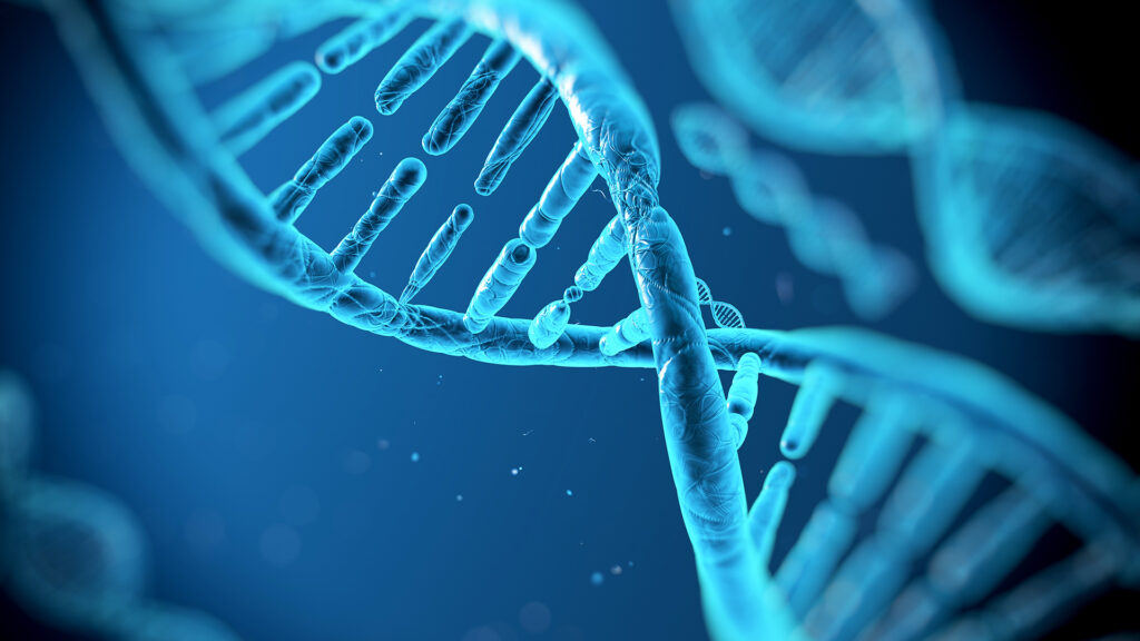 Το αρχαίο DNA ρίχνει φως για πρώτη φορά στην καταγωγή των Βάσκων - Media