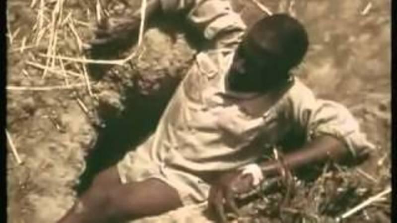 Βρέθηκε γιγαντιαίο ανακόντα μήκους 10 μέτρων και βάρους 400 κιλών (Photos -Video) - Media