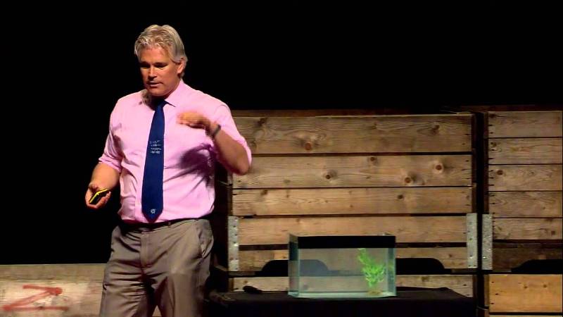 Ο Ολλανδός καθηγητής Ζίμπραντ ντε Γιονγκ νέος πρόεδρος του Συμβουλίου του CERN - Media