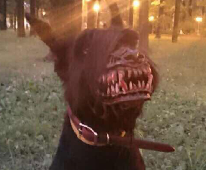 Πώς θα νοιώθατε αν βλέπατε έναν σκύλο με τέτοια δόντια; Κι όμως, είστε απολύτως ασφαλείς! - Media