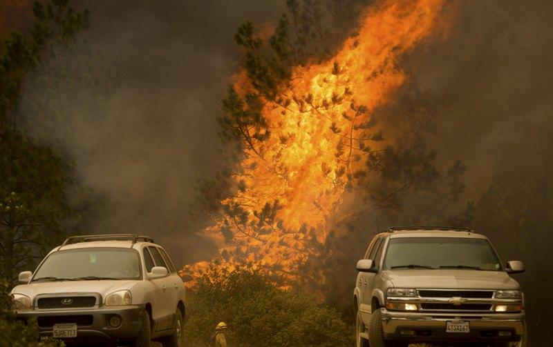 Ζάκυνθος: Πυρκαγιά στη θέση Σκοπός - Δεν κινδυνεύει το χωριό Καλαμάκι - Media