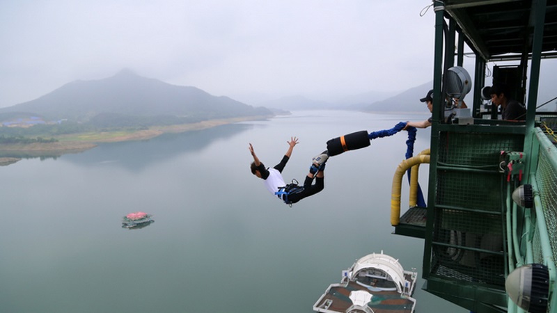 Σοκ: Ανάγκασαν γουρούνι να κάνει bungee jumping (video) - Media
