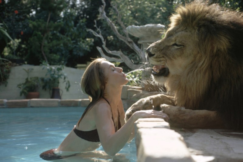 Ποια πασίγνωστη ηθοποιός όταν ήταν μικρή είχε σαν κατοικίδιο ένα λιοντάρι; (Photos) - Media