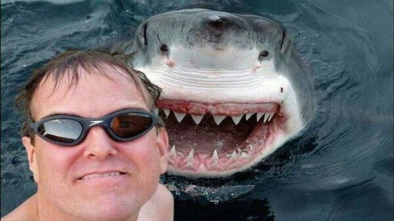Περισσότεροι σκοτώθηκαν από selfies παρά από… καρχαρίες τον τελευταίο χρόνο! - Media