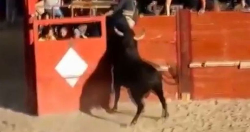 Άγρια επίθεση ταύρου σε τουρίστρια: Τη σήκωσε με τα κέρατα (Σκληρό Video) - Media