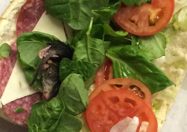 Αηδία! Βρήκε νεκρό ποντίκι μέσα στο σάντουιτς… (Photo) - Media