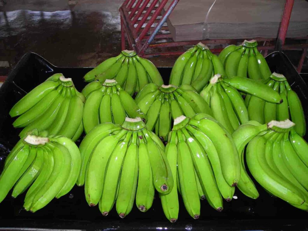 Πράσινες και σκληρές οι σωστές μπανάνες! - Media