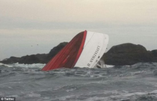 Τραγωδία με τουρίστες στον Καναδά - Πήγαν να δουν τις φάλαινες και βούλιαξε το πλοίο... (Photos/Video) - Media