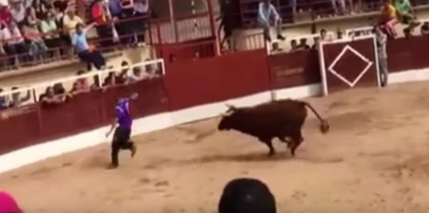 Ισπανία: Εξαγριωμένος ταύρος ανεβαίνει στην εξέδρα και… τρομοκρατεί το κοινό (Video) - Media