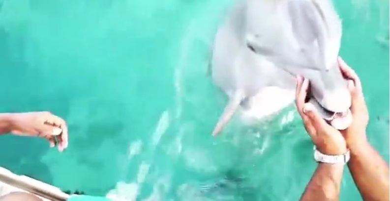Ταλαιπωρία για 64 επιβάτες ιπτάμενου δελφινιού - Eπιστρέφει εκτάκτως στον Πειραιά - Media