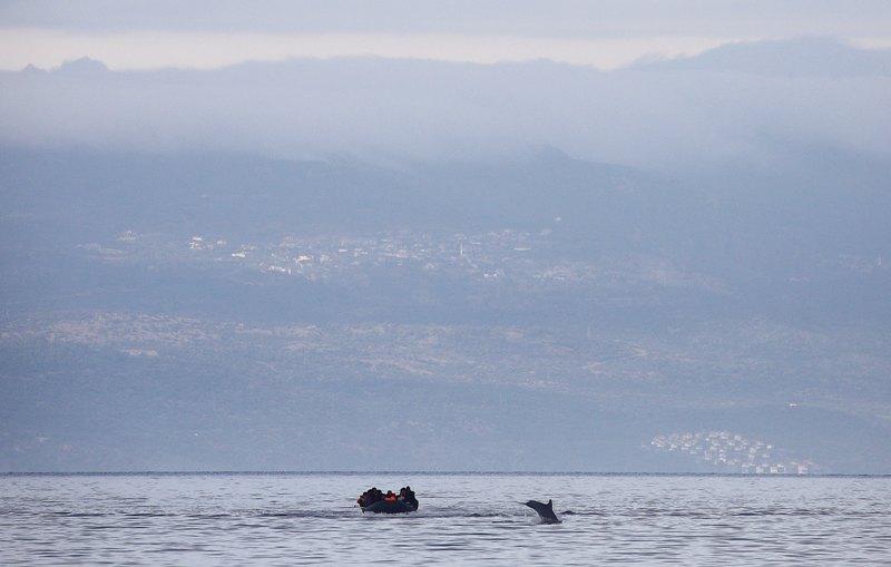 Εκπληκτική φωτογραφία: Ένα δελφίνι «συμπαραστέκεται» στους πρόσφυγες… (Photo) - Media