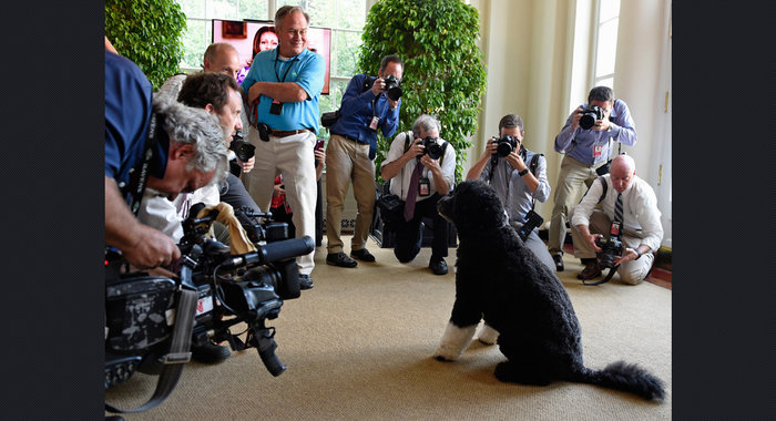 Ο τετράποδος σούπερ σταρ του Λευκού Οίκου (Photos) - Media