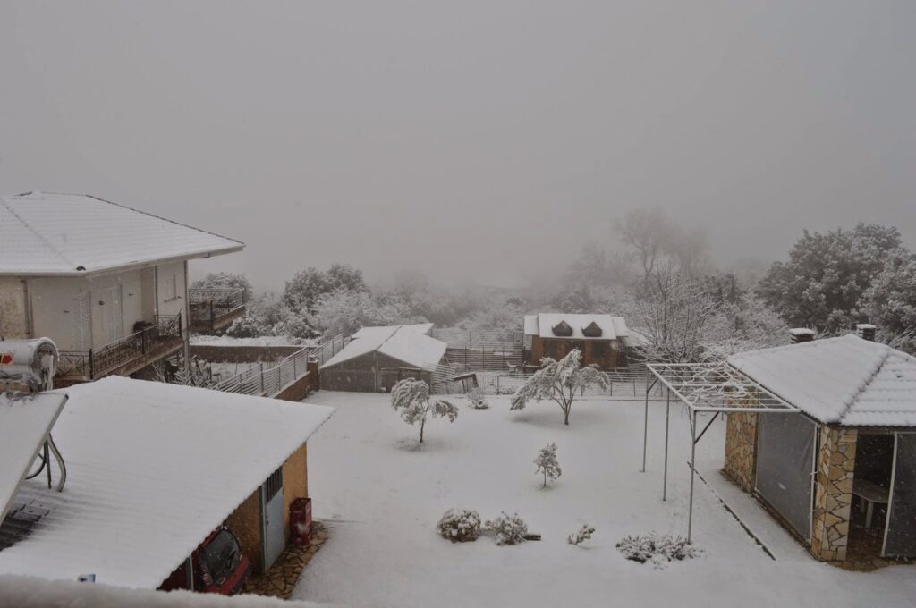 Πυκνή χιονόπτωση στα ορεινά των Ιωαννίνων - Media