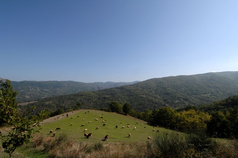 Αίθριος καιρός με υψηλές θερμοκρασίες - Media