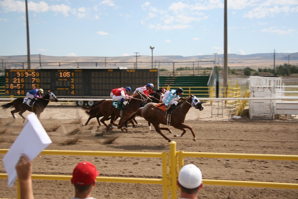 ΟΠΑΠ: Στις 10 Δεκεμβρίου η έναρξη δραστηριότητας της «Ιπποδρομίες ΑΕ» - Media