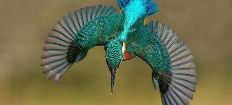 Αυτή η φωτογραφία χρειάστηκε 4.200 ώρες για να βγει τέλεια! (Photos) - Media