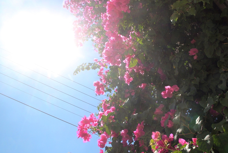 Από Απρίλιο.... καλοκαίρι - Στους 27 βαθμούς η θερμοκρασία - Media