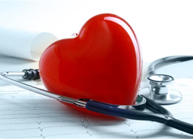 Γιατί δεν πρέπει η καρδιά να χτυπά γρήγορα σε κατάσταση ηρεμίας – Το όριο των 80 παλμών το λεπτό - Media