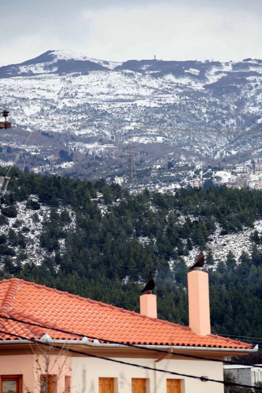 «Άσπρισε» το Πήλιο – Στα 20 εκ. έχει φτάσει το χιόνι - Media