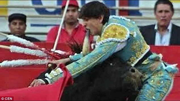 Η εκδίκηση του ταύρου: Έσπασε τα δόντια του ταυρομάxου και τον έστειλε ταπεινωμένο στην εξέδρα (Video/Photo) - Media