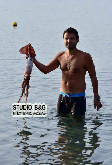 Τεράστιο καλαμάρι «ψάρεψε» με τα χέρια του χειμερινός κολυμβητής στο Ναύπλιο (Video-Photos) - Media