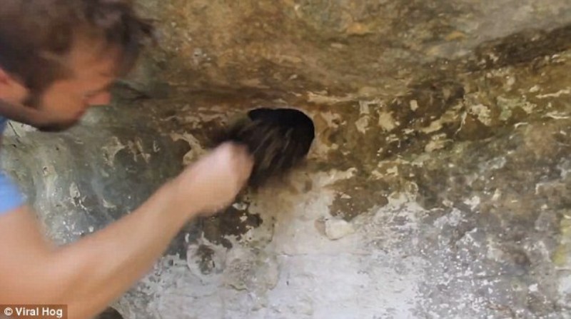 Ποτέ μην βάζετε το χέρι σας σε τρύπες βράχων! Δείτε τι τράβηξε αυτός ο άνδρας (Video) - Media