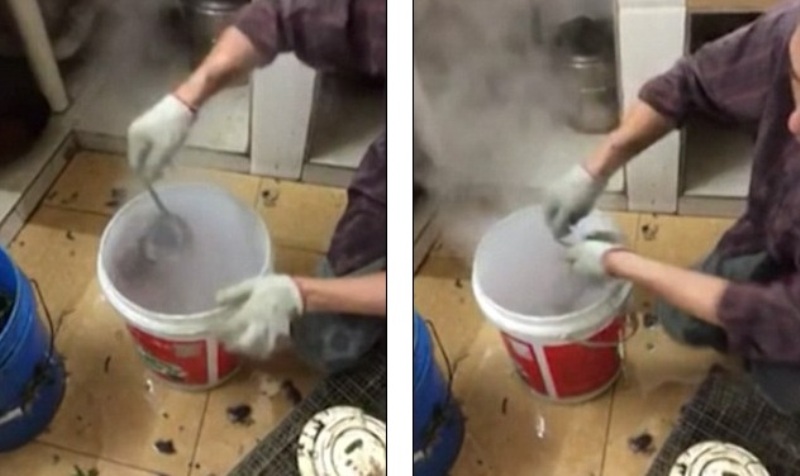 Κίνα: Ζεματάνε ζωντανούς τους αρουραίους για να φύγει η γούνα τους και να τους κάνουν κεμπάπ (ΣΚΛΗΡΕΣ Photos&Video) - Media