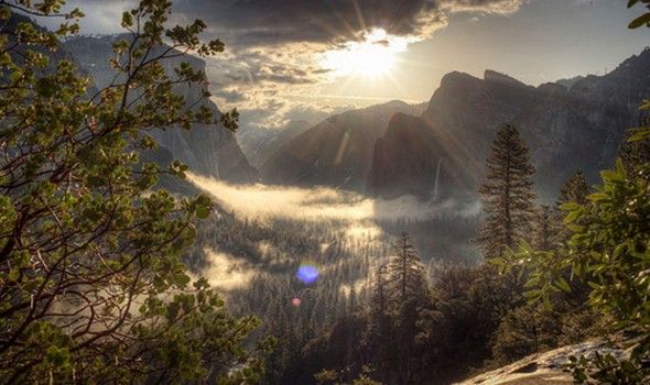 Μάθετε ποιο ζώο, πέρα από τον άνθρωπο, χρησιμοποιεί εργαλεία (Video) - Media