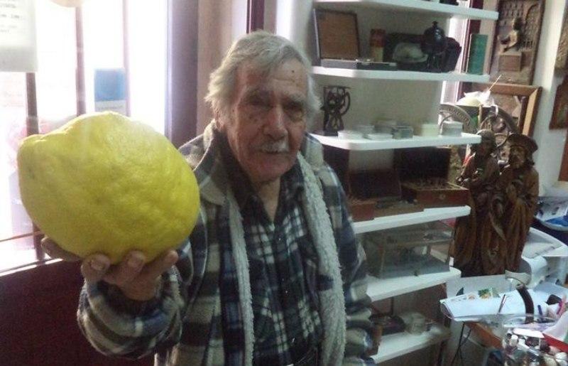 Λεμόνι… ενός κιλού βρέθηκε στη Χίο! (Photo) - Media