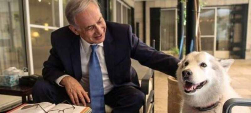 Ο Νετανιάχου πήρε σε εκδήλωση το σκύλο του και δάγκωσε δυο πολιτικούς! (Photos) - Media