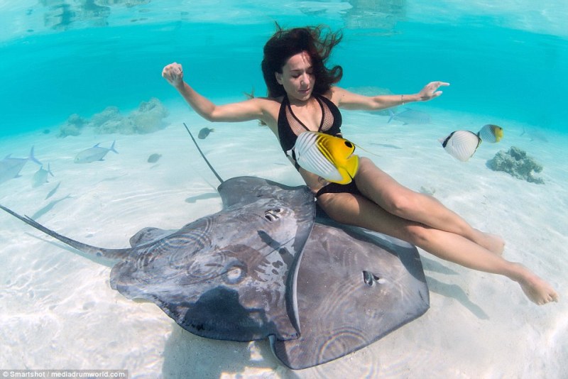 Φοράνε μπικίνι, και χορεύουν με το θάνατο και τα δηλητηριώδη σαλάχια, στα γαλαζοπράσινα νερά του Ειρηνικού (Photos)  - Media