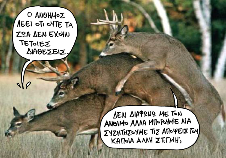 20-12-2015 - Media
