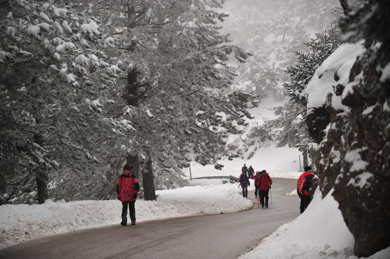 «Βουτιά» της θερμοκρασίας την Τρίτη - Τσουχτερό κρύο και χιόνια - Media