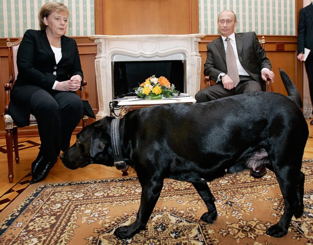Ο Πούτιν ζήτησε συγγνώμη από τη Μέρκελ για τότε που τη φόβισε με τον σκύλο του (Photos) - Media