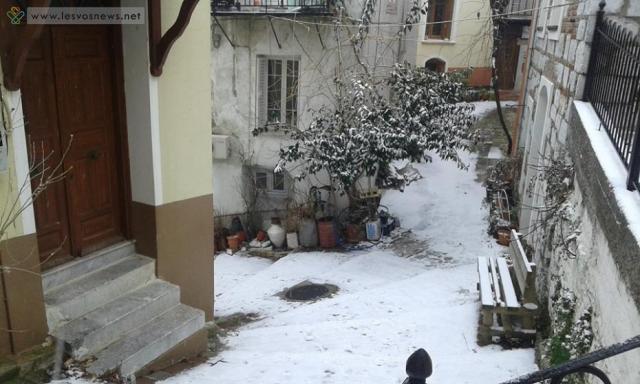 Χιονίζει για τρίτη φορά σε δέκα μέρες στην Λέσβο – Κλειστά τα σχολεία (Photos) - Media