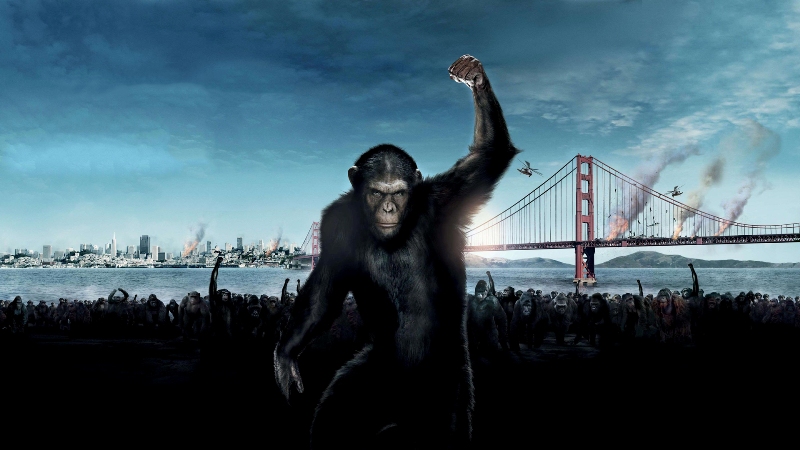Ο γιγαντοπίθηκος εξαφανίστηκε γιατί δεν προσαρμόστηκε στις περιβαλλοντικές αλλαγές - Media