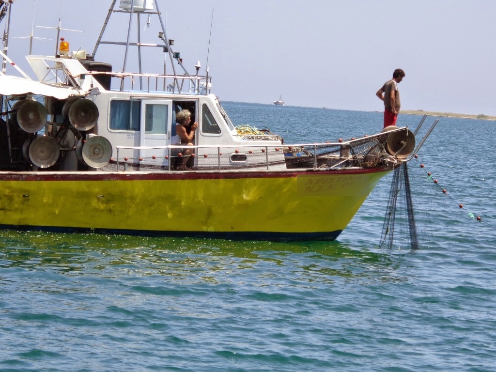 Βιντζότρατα που τους χρειάζεται…Το υπουργείο Αγροτικής Ανάπτυξης επανέφερε καταστροφικό αλιευτικό εργαλείο! - Media