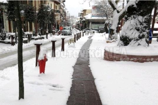 Απίστευτη κλοπή στο Καρπενήσι - «Σήκωσαν» περίπτερο δίπλα στο αστυνομικό τμήμα (Photos, Video) - Media