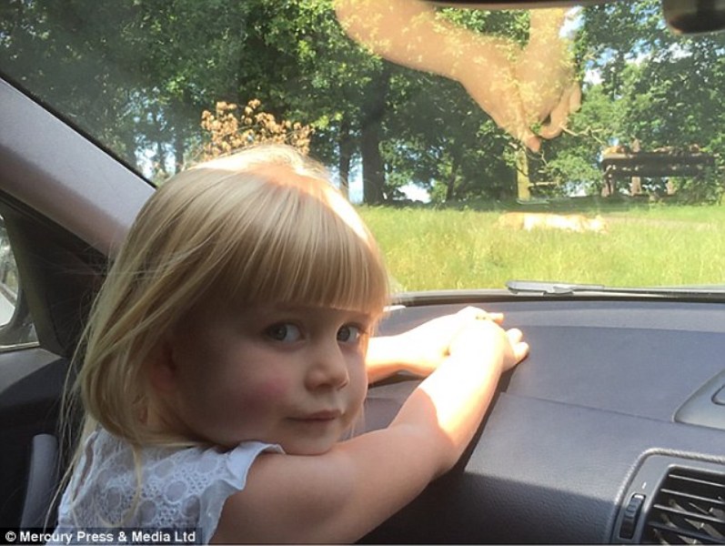 Ζευγάρι μπαμπουίνων κάνει σεξ στο καπό αυτοκινήτου και το τρίχρονο κοριτσάκι που τους βλέπει βάζει τα κλάματα (Video)  - Media