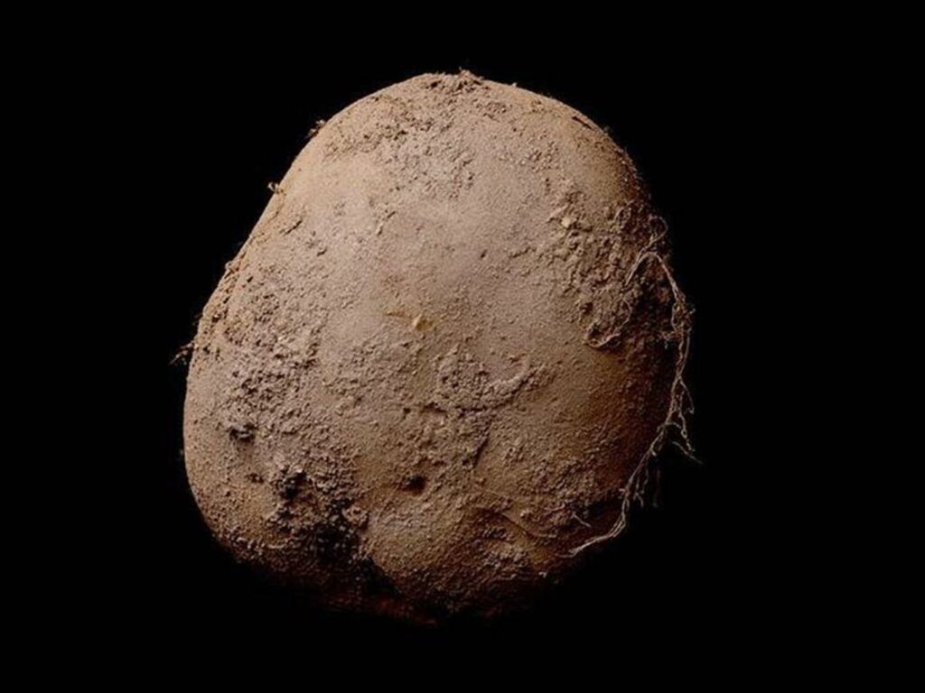 Η φωτογραφία μιας πατάτας πουλήθηκε για ένα εκατομμύριο ευρώ (Photo) - Media