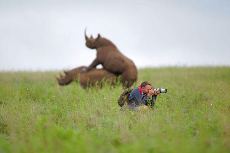 Φωτογράφιζε αμέριμνος ενώ πίσω από την πλάτη του… ζευγάρωναν ρινόκεροι! (Photos) - Media